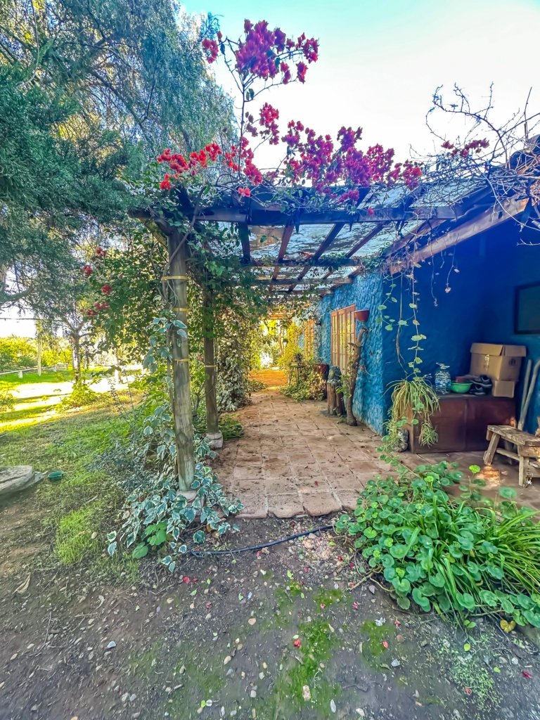 Venta De Parcela Con Casa En Camarico (OVALLE)